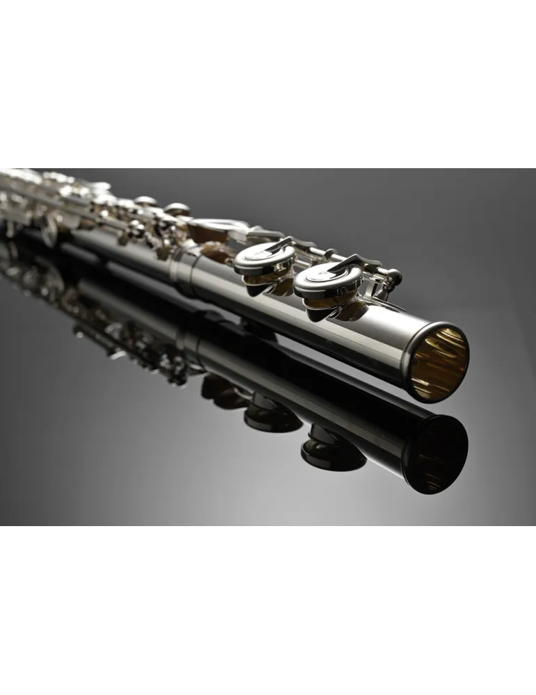 AZUMI AZS2RI | MusicGoodDeal