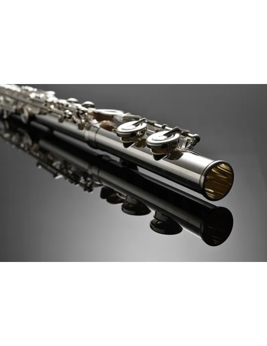 AZUMI AZS2RI | MusicGoodDeal