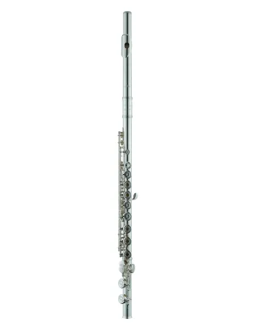 AZUMI AZZ2RI | MusicGoodDeal