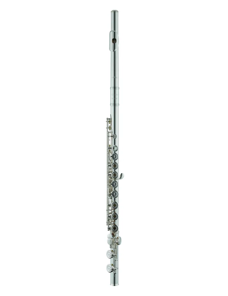 AZUMI AZZ2RI | MusicGoodDeal