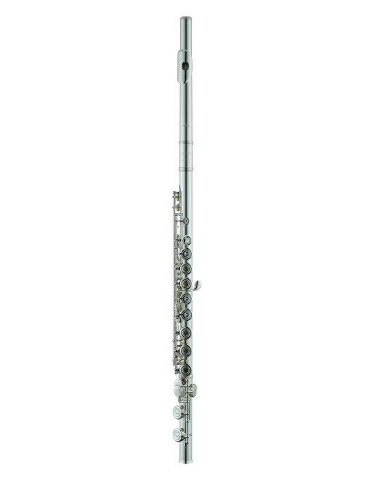 AZUMI AZZ2RI | MusicGoodDeal