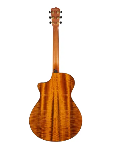 BREEDLOVE ORO66CEOJB | MusicGoodDeal 2