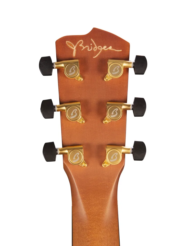 BREEDLOVE ORO66CEOJB | MusicGoodDeal