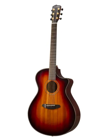 BREEDLOVE ORO66CEOF | MusicGoodDeal 2