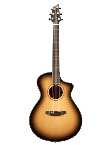 BREEDLOVE ORC26CESD | MusicGoodDeal