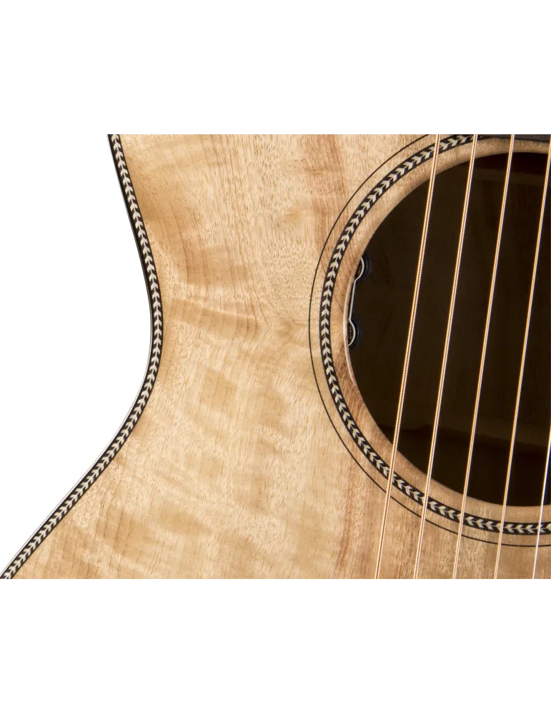 BREEDLOVE ORCS66CE | MusicGoodDeal