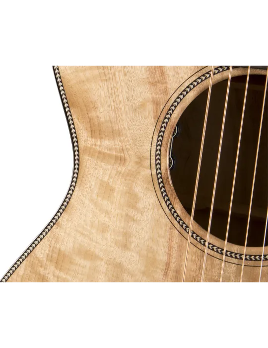 BREEDLOVE ORCS66CE | MusicGoodDeal