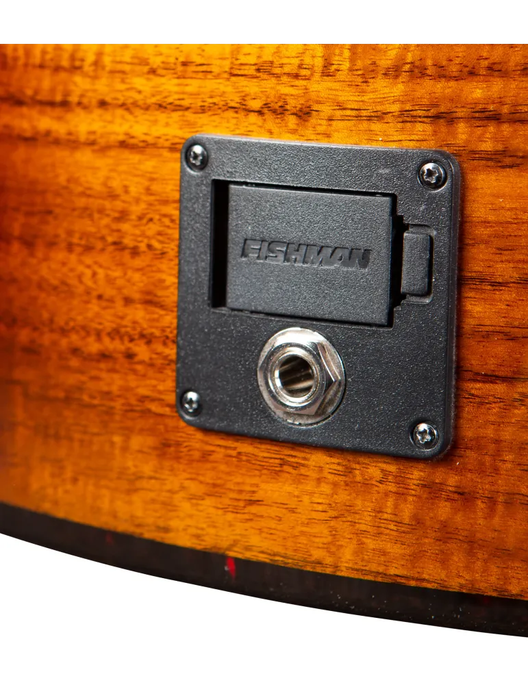  BREEDLOVE PURSUIT EX S CONCERT CE KOA|MusicGoodDeal 