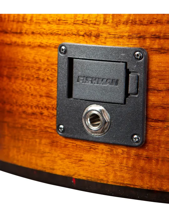  BREEDLOVE PURSUIT EX S CONCERT CE KOA|MusicGoodDeal 