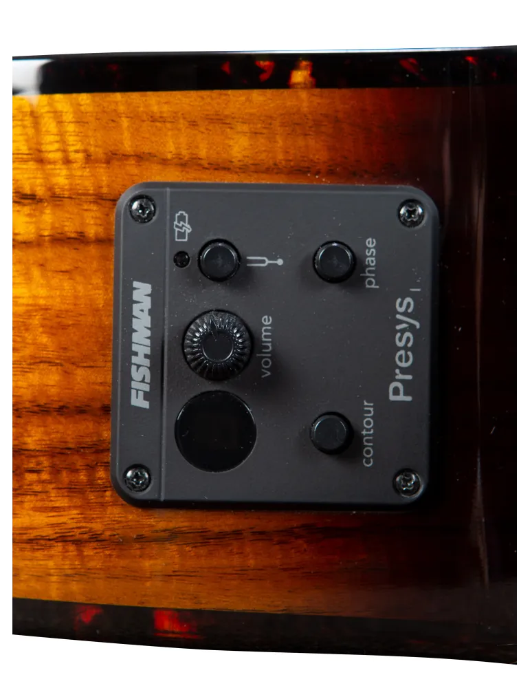 BREEDLOVE PURSUIT EX S CONCERT CE KOA|MusicGoodDeal 