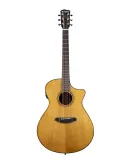 BREEDLOVE PFO22CEA | MusicGoodDeal