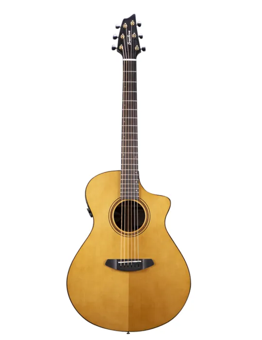 BREEDLOVE PFC22CEA | MusicGoodDeal