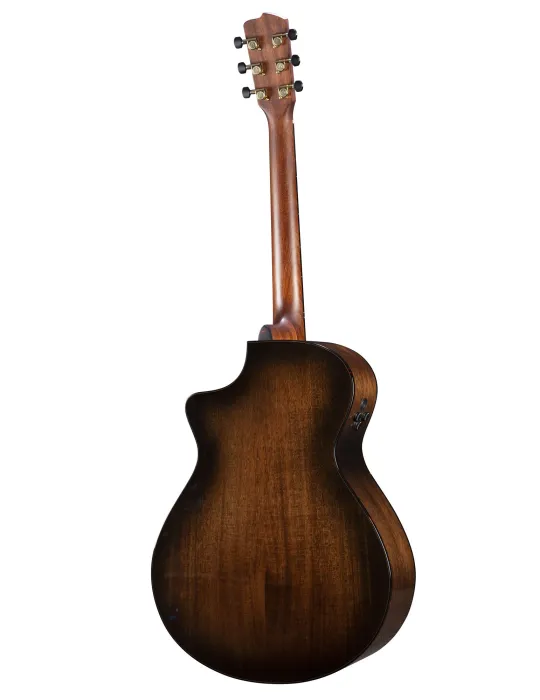  BREEDLOVE PERFORMER PRO CONCERTO CE|MusicGoodDeal 
