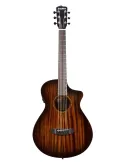  BREEDLOVE WILDWOOD PRO CONCERTINA CE|MusicGoodDeal 