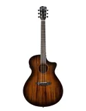  BREEDLOVE WILDWOOD PRO CONCERTO CE|MusicGoodDeal 