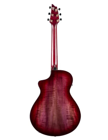 BREEDLOVE PESC66CEPB | MusicGoodDeal 2