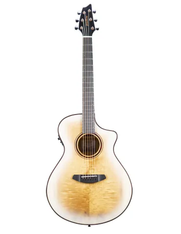 BREEDLOVE PESC66CEWS | MusicGoodDeal