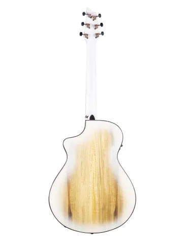 BREEDLOVE PESC66CEWS | MusicGoodDeal 2