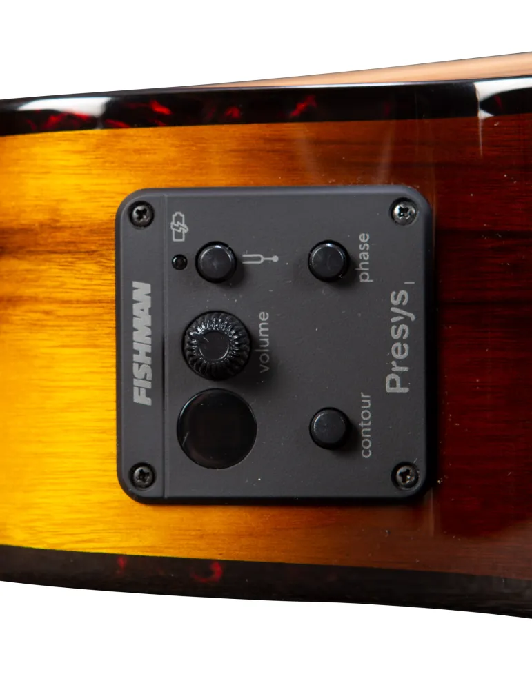  BREEDLOVE PURSUIT EX S CONCERT CE TIGER|MusicGoodDeal 