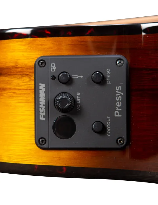  BREEDLOVE PURSUIT EX S CONCERT CE TIGER|MusicGoodDeal 
