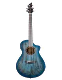 BREEDLOVE PESC66CEBE | MusicGoodDeal