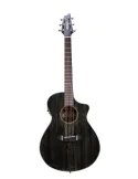  BREEDLOVE RAINFOREST S CONCERT BLACK GLD|MusicGoodDeal 