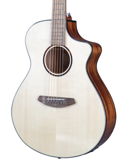  CONCIERTO DE BREEDLOVE DISCOVERY S CE|MusicGoodDeal 