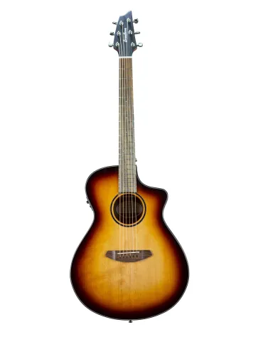  BREEDLOVE DISCO S CONCERT EDGE CE EPICEA|MusicGoodDeal 