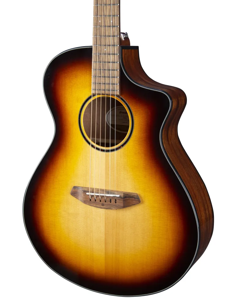  BREEDLOVE DISCO S CONCERT EDGE CE EPICEA|MusicGoodDeal 