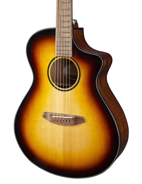  BREEDLOVE DISCO S CONCERT EDGE CE EPICEA|MusicGoodDeal 