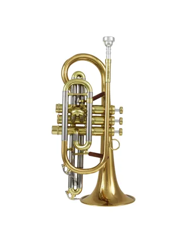 CAROLBRASS CCR-PDT7L | MusicGoodDeal