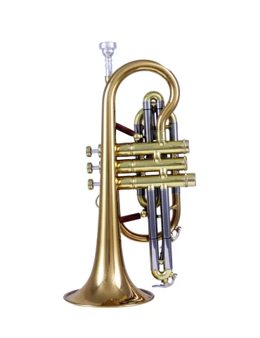 CAROLBRASS CCR-PDT7L | MusicGoodDeal 2