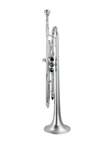 CAROL BRASS CTR-PCL7S | MusicGoodDeal