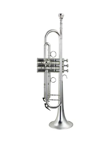 CAROL BRASS CTR-PCL7S | MusicGoodDeal 2