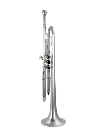 CAROL BRASS CTR-PJL7S | MusicGoodDeal