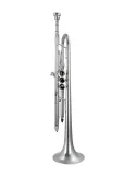 CAROL BRASS CTR-PJL7S | MusicGoodDeal
