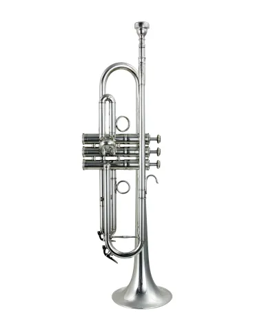 CAROL BRASS CTR-PJL7S | MusicGoodDeal 2