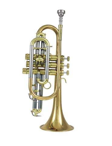 CAROLBRASS CCR-ALB7L | MusicGoodDeal