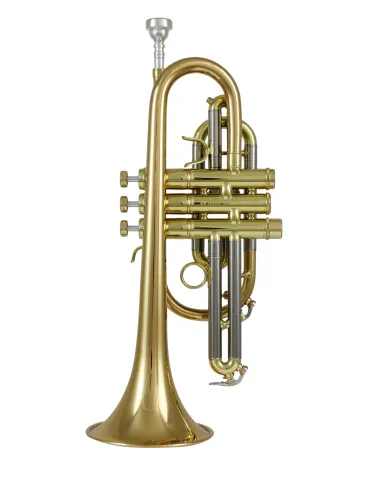CAROLBRASS CCR-ALB7L | MusicGoodDeal 2