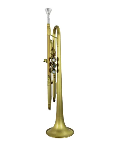 CAROL BRASS CTR-PJL5B | MusicGoodDeal