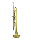 CAROL BRASS CTR-PJL5B | MusicGoodDeal