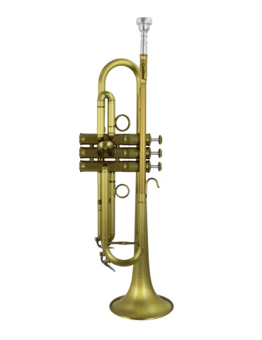 CAROL BRASS CTR-PJL5B | MusicGoodDeal 2