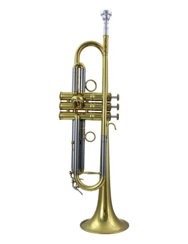  CAROL BRASS TRUMPET SIB CAROLBRASS PJL7L|MusicGoodDeal 
