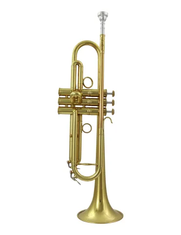  CAROL BRASS TRUMPET SIB CAROLBRASS PJL5L|MusicGoodDeal 