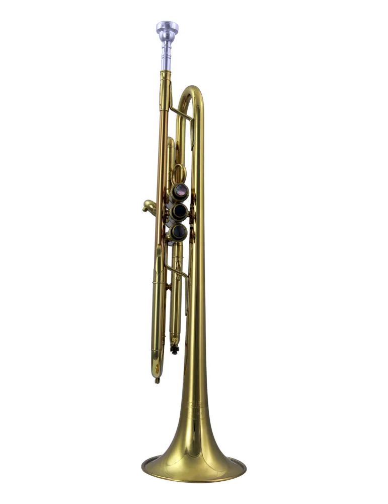  CAROL BRASS TRUMPET SIB CAROLBRASS PJL5L|MusicGoodDeal 