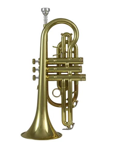 CAROLBRASS CCR-PAR5L | MusicGoodDeal 2