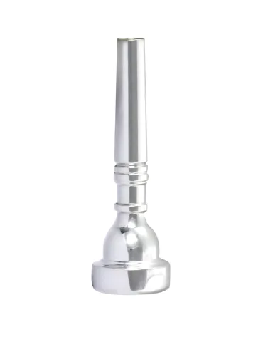 CAROL BRASS CTR-112C | MusicGoodDeal