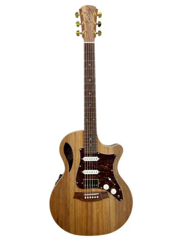 COLE CLARK TL2EC-BLBL-HS | MusicGoodDeal