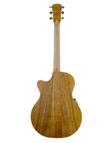 COLE CLARK TL2EC-BLBL-HS | MusicGoodDeal 2