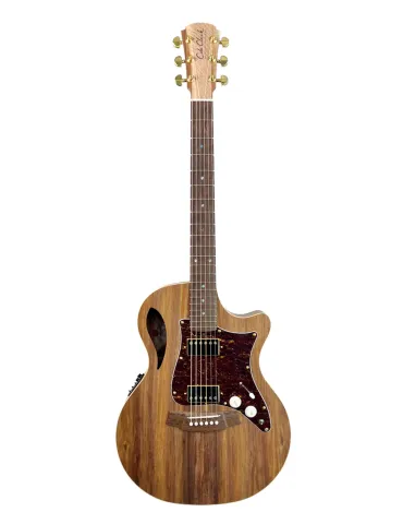 COLE CLARK TL2EC-BLBL-HH | MusicGoodDeal